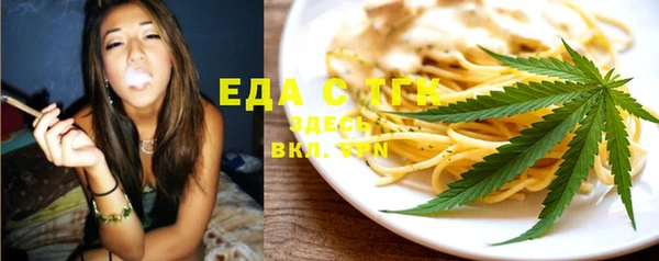 индика Осинники
