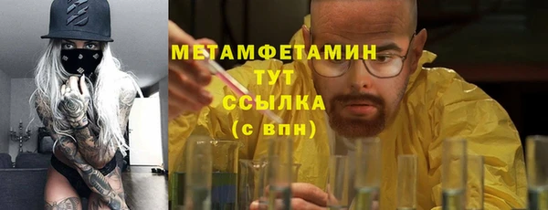 индика Осинники