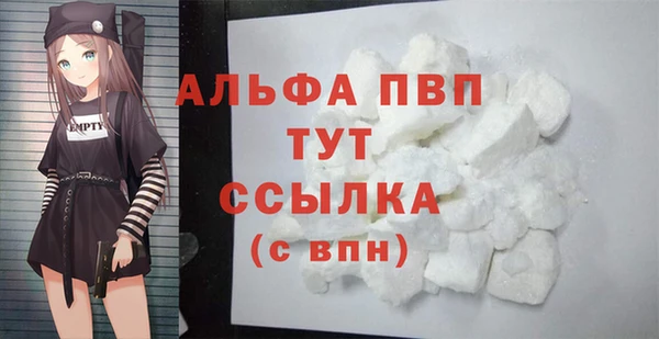 индика Осинники