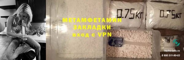 индика Осинники