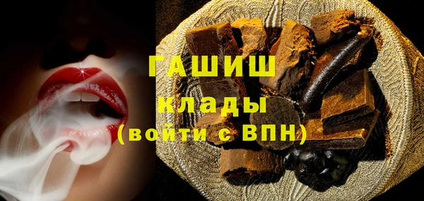 индика Осинники