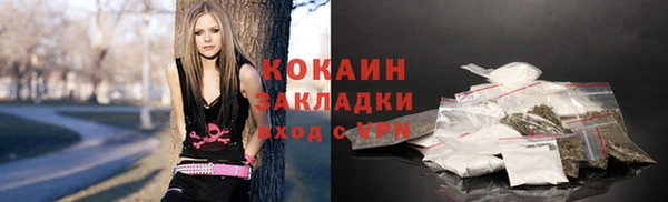 индика Осинники