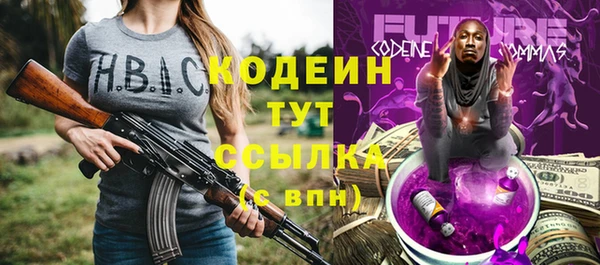 индика Осинники