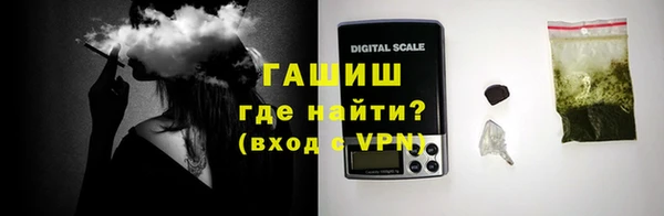 индика Осинники