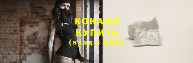 индика Осинники