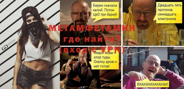индика Осинники