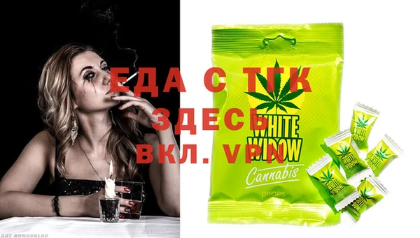 индика Осинники