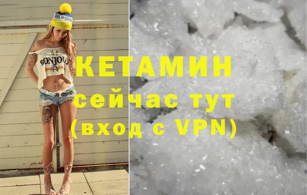индика Осинники