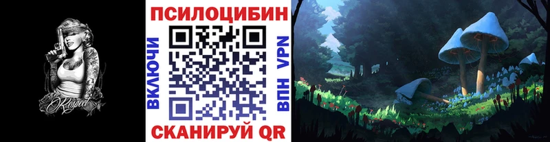 где найти Кондопога Галлюциногенные грибы прущие грибы