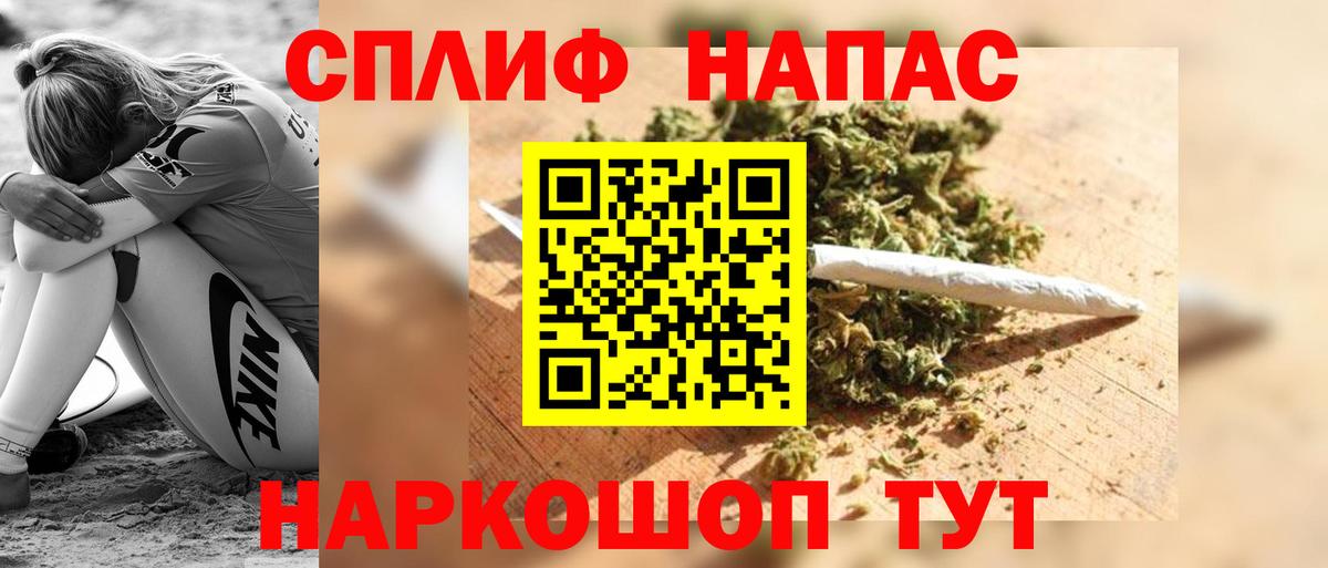 Конопля сатива Кондопога